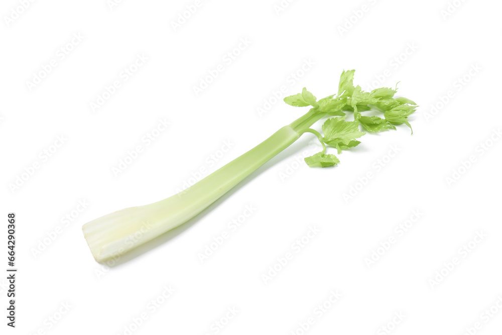 Fresh green celery stem isolated on white