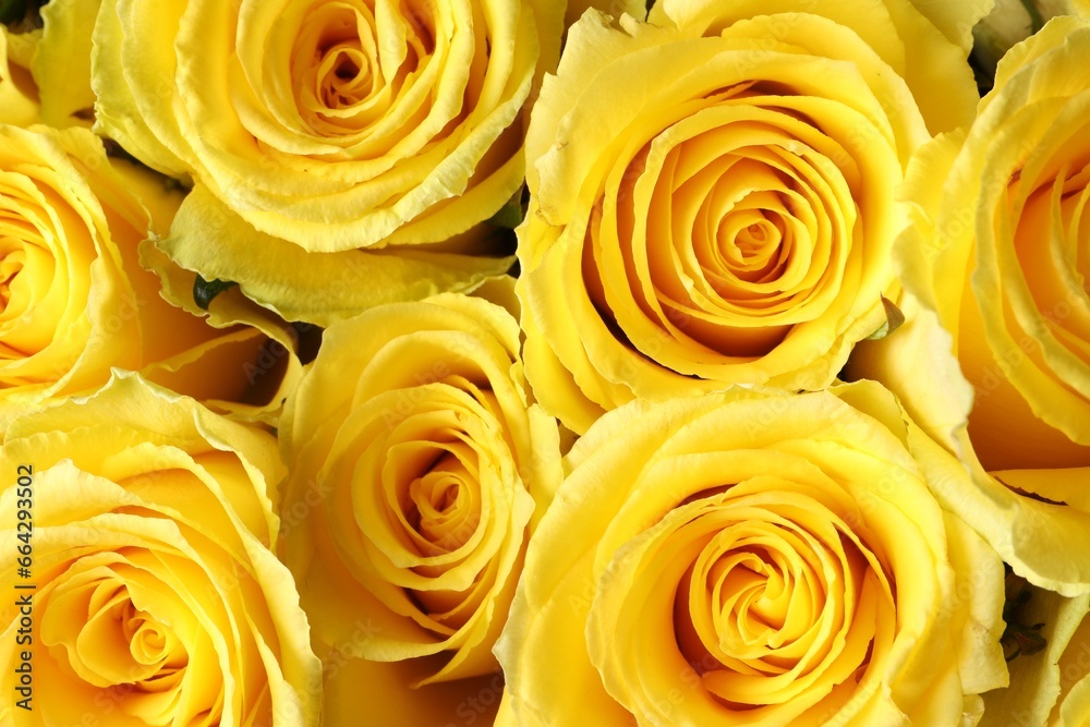 Beautiful bouquet of yellow roses as background, top view Beautiful bouquet of yellow roses as background, top view