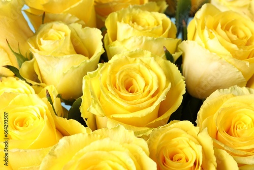 Beautiful bouquet of yellow roses  closeup view