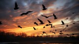 Flocks of birds soar across a chilly sky, embarking on their winter migration