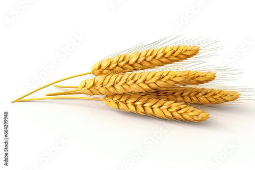 Wheat Ears Are Isolated Against White Background