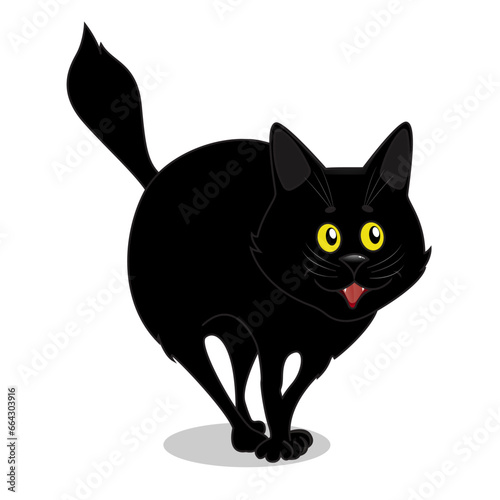 Nice black cat
