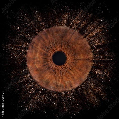Human eye close up. Brown macro iris. Pupil on black background
