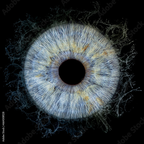 Human eye close up. Blue macro iris. Pupil on black background