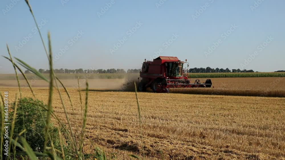 A large combine harvests the wheat crop A large combine harvests the wheat crop