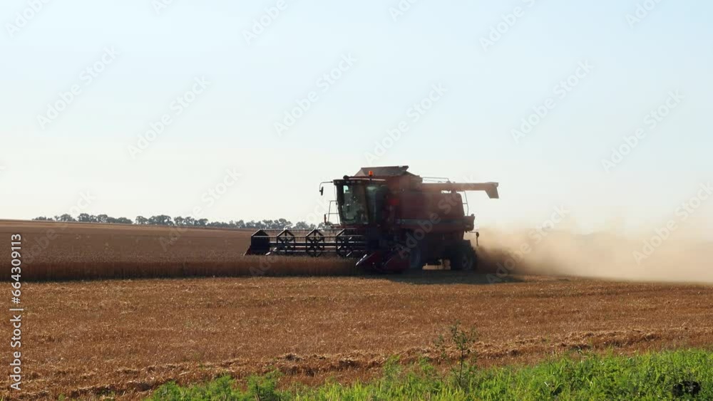 A combine harvests a crop in the field A combine harvests a crop in the field