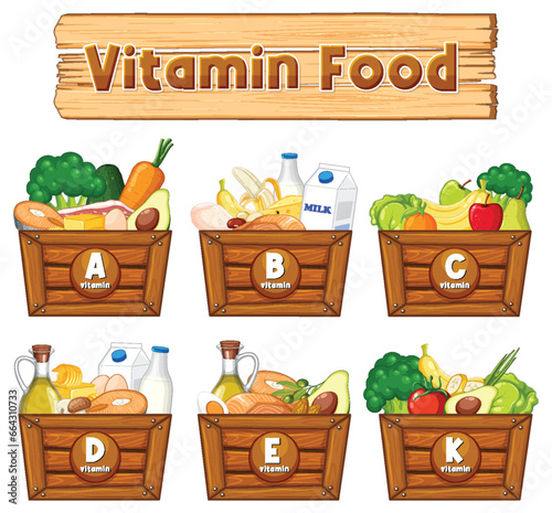 Educational Group of Vitamin Icons and Food Examples