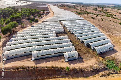 Intensive cultivation field with plastic-covered crops full of greenhouses cultivation for strawberries, strawberries from Palos and red fruits