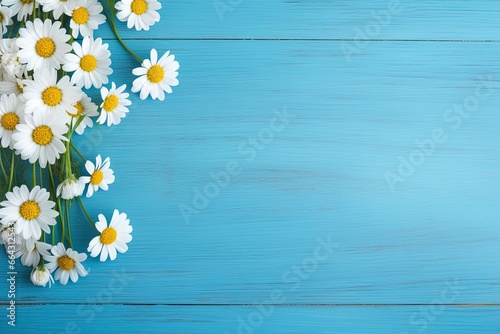Daisy border on blue wood. © FurkanAli