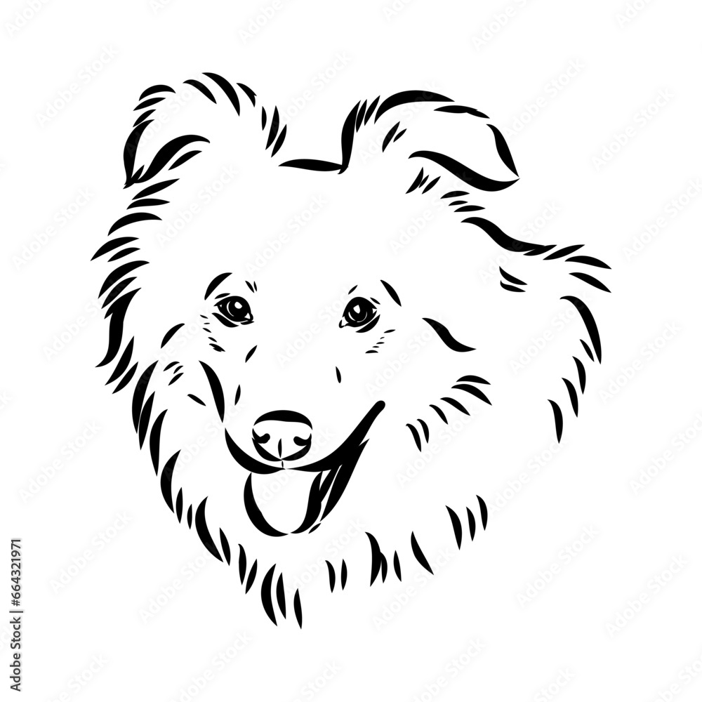 Fototapeta premium aidi dog, vector sketch outline pencil drawing artwork, black character on white background