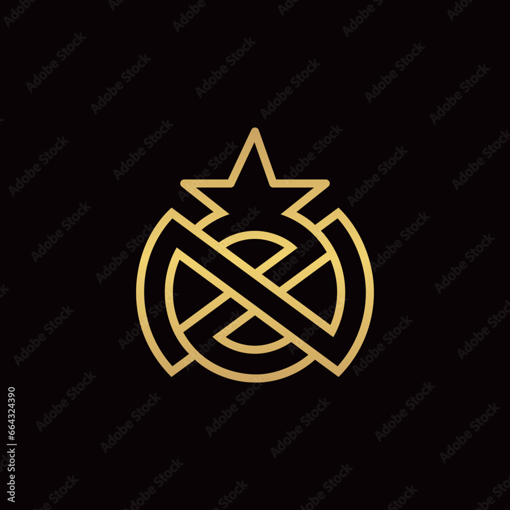 The monogram is the letter N and Z. Star, elegant and outline. The monogram is the letter N and Z. Star, elegant and outline.