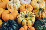 Many colorful mini pumpkins and gourds, close up, view from above. Fall texture for background. Halloween or Thanksgiving celebration.
