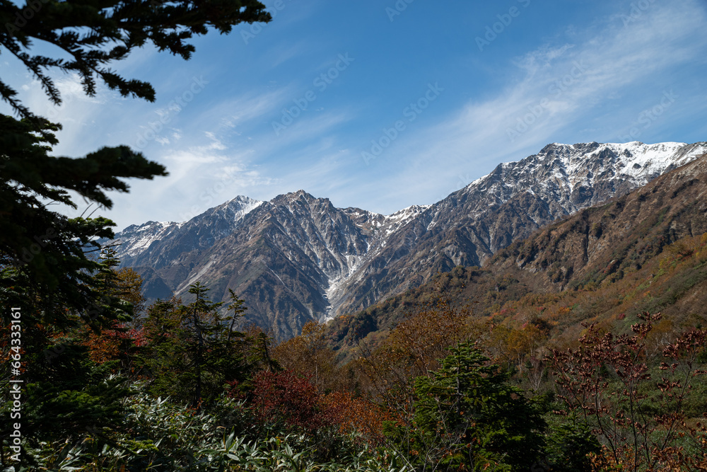 Obraz premium 紅葉と白馬岳 栂池高原