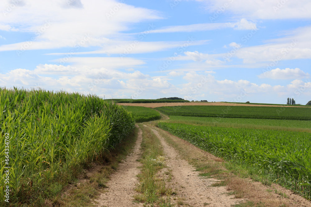 Landschaft im Pajottenland, Flandern, Belgien Landschaft im Pajottenland, Flandern, Belgien