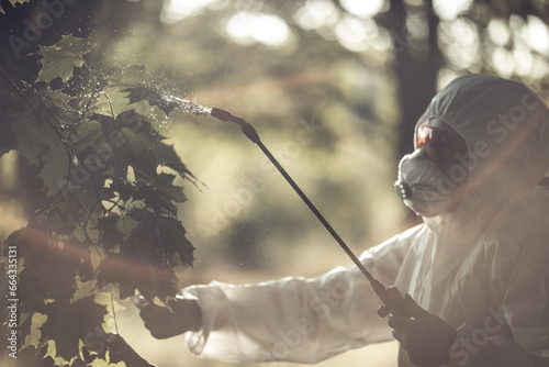 A worker sprays pesticides on trees outdoors. Tree pest control © Natallia