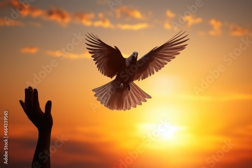 silhouette pigeon, White dove flying out of two hand and freedom concept and international day. © inthasone
