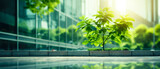 Eco - friendly building in the modern city ,Sustainable glass office building with tree for reducing carbon dioxide. Office building with green environment.