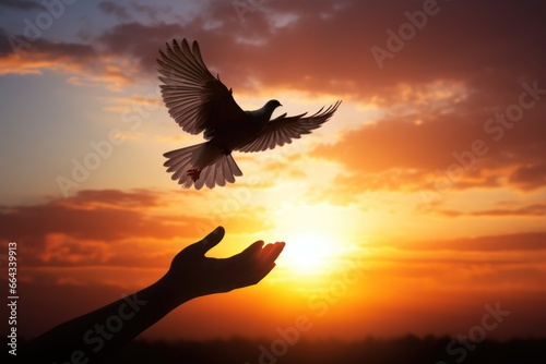 silhouette pigeon, White dove flying out of two hand and freedom concept and international day.