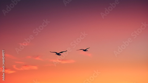 Radiant Evening Sky with Birds (Seagulls) in Flight - Capturing Majestic Moments of Peace & Elegance - Copy Space.