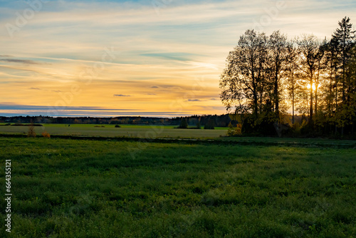 Sunset in the countryside