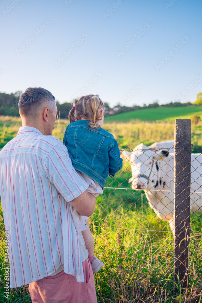 A young father and his daughter in the pasture look at the cows over the fence. Dad and daughter are walking in the field and looking at cows and horses grazing behind the fence.