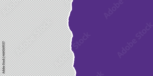 Transparent background purple color torn paper with ripped cut effect blank empty banner vector file