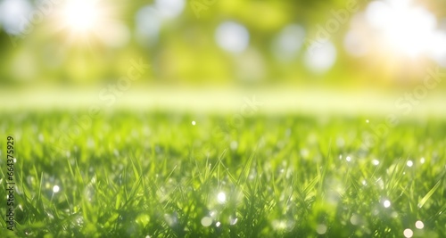 Green grass with a blurry background. Green lawn under the rays of the sun. Lawn grass with copy space.