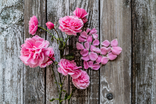 pink roses on wooden background © Yevheniia