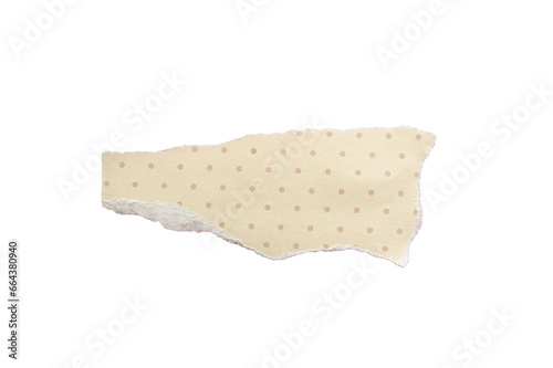 close up of a white ripped piece of ragged checkered paper background with copyspace. torn paper transparent png