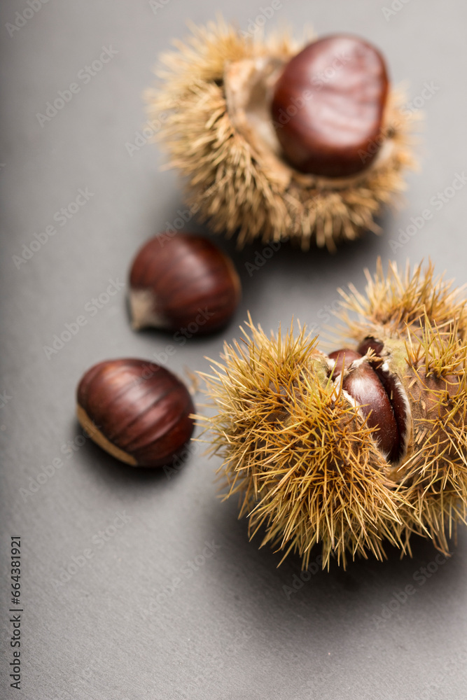 Closeup of group of chestnuts, autumn Closeup of group of chestnuts, autumn