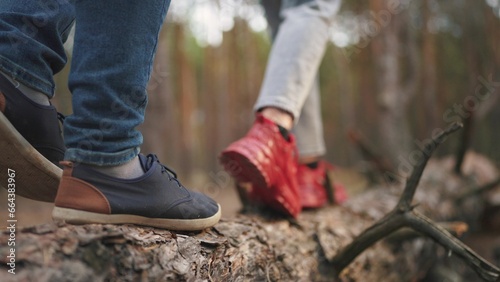 couple walking in the forest. nature dream concept. young people, a guy and a girl, walk through the autumn coniferous forest climbing on a large fallen tree. couple walking through a cold evening