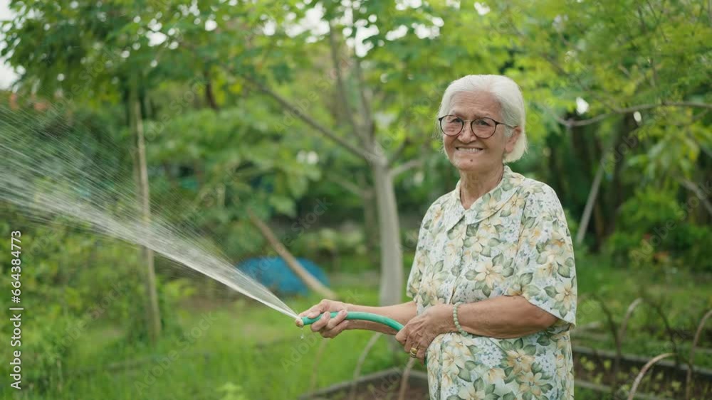 Happy Asian elderly woman watering plants in the backyard. Asian elderly woman holding garden hose watering plants green garden at home. Lifestyle of retirement concept Happy Asian elderly woman watering plants in the backyard. Asian elderly woman holding garden hose watering plants green garden at home. Lifestyle of retirement concept