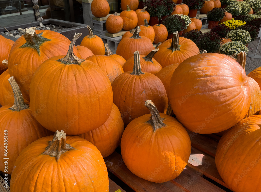 Pumpkins Pumpkins