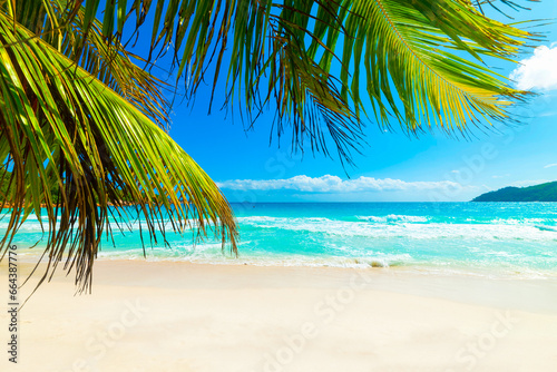 Fototapeta Naklejka Na Ścianę i Meble -  Palm trees and turquoise water in Anse Lazio beach