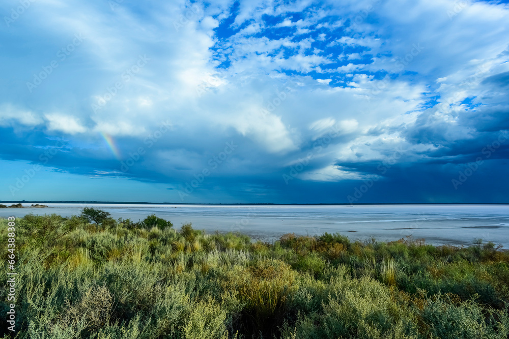 Broken dry soil in a Pampas lagoon, La Pampa province, Patagonia, Argentina. Broken dry soil in a Pampas lagoon, La Pampa province, Patagonia, Argentina.