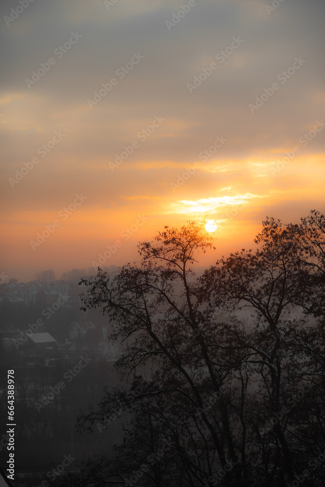 View of the city, the silhouette of trees at sunset. Winter sunset and haze over the city.