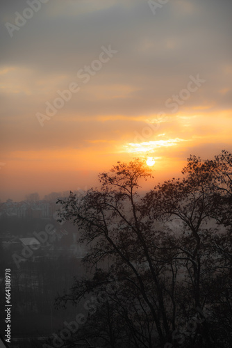 Fototapeta Naklejka Na Ścianę i Meble -  View of the city, the silhouette of trees at sunset. Winter sunset and haze over the city.