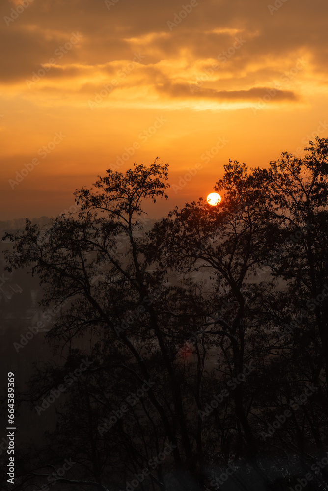 View of the city, the silhouette of trees at sunset. Winter sunset and haze over the city.