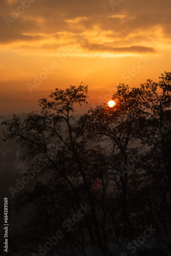 Obraz na płótnie View of the city, the silhouette of trees at sunset. Winter sunset and haze over the city. w salonie
