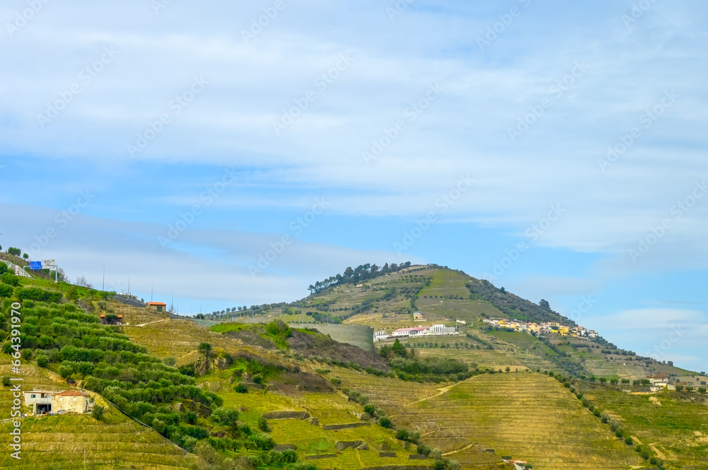 Terraced agricultural lands in Douro Valley, Portugal