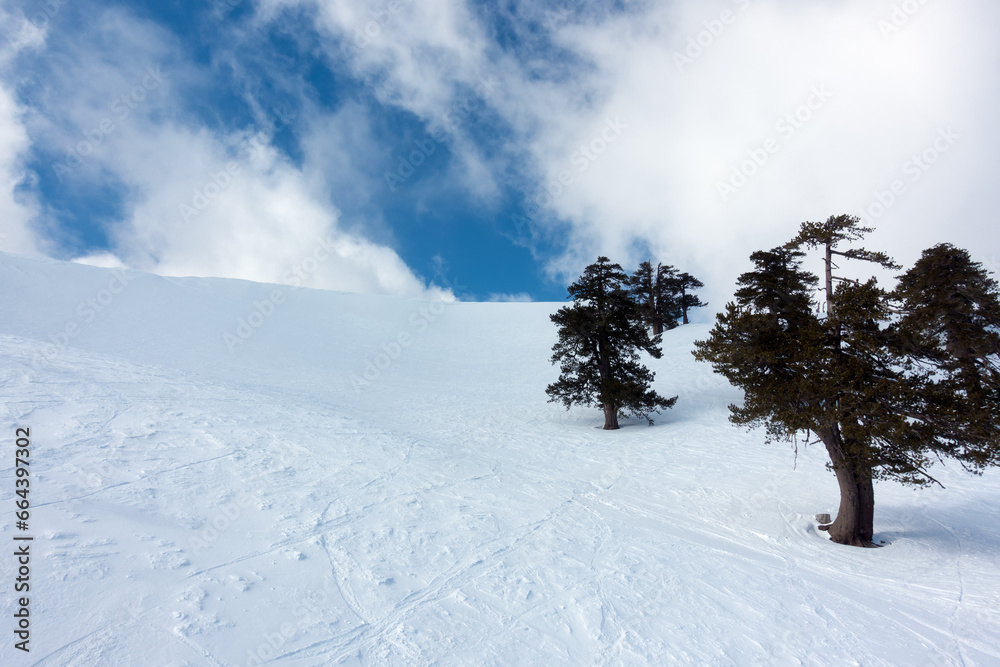 Breathtaking scenery on the snowy slopes of Vasilitsa ski center, Grevena, Greece Breathtaking scenery on the snowy slopes of Vasilitsa ski center, Grevena, Greece