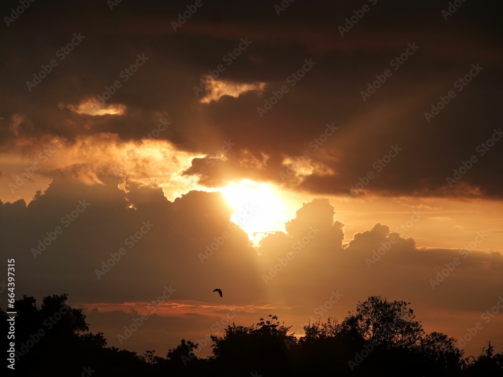 the sun peeks through clouds as a bird flies by