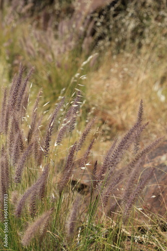 Photo taken in a national park in Western Australia.