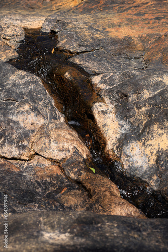 Photo taken in a national park in Western Australia.