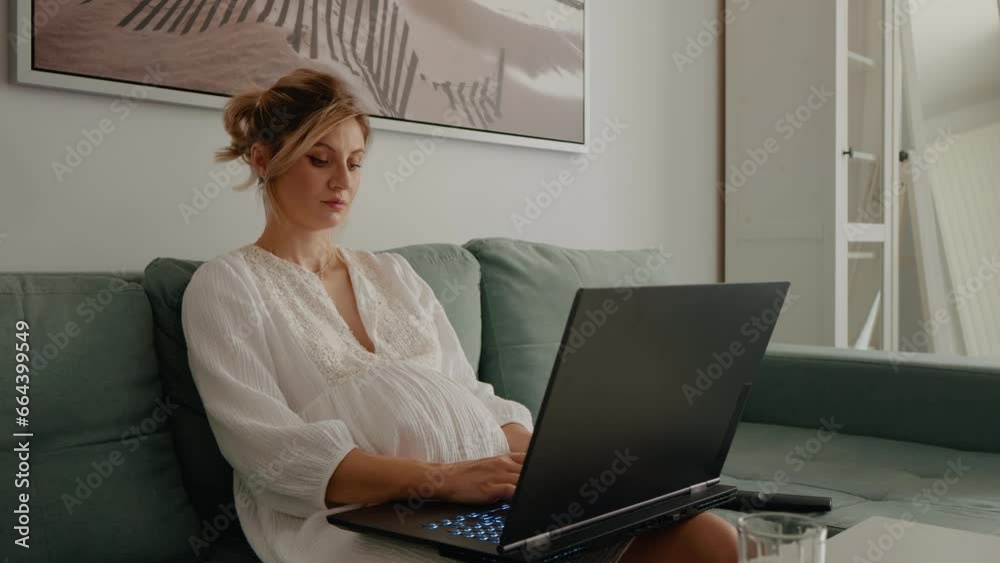 Freelance while being pregnant using laptop in the living room. Female making money online while staying at home. Pregnancy and technology concept. Freelance while being pregnant using laptop in the living room. Female making money online while staying at home. Pregnancy and technology concept.