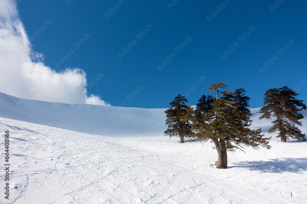 Breathtaking scenery on the snowy slopes of Vasilitsa ski center, Grevena, Greece Breathtaking scenery on the snowy slopes of Vasilitsa ski center, Grevena, Greece
