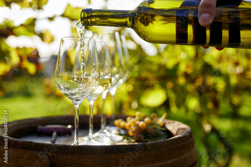 Pouring white wine into glasses on a wooden barrel on a sunny day in the vineyard