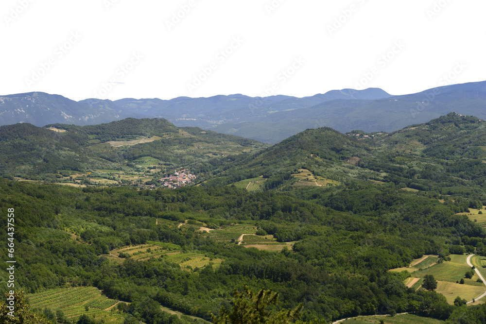 panoramic view of vineyards among the hills