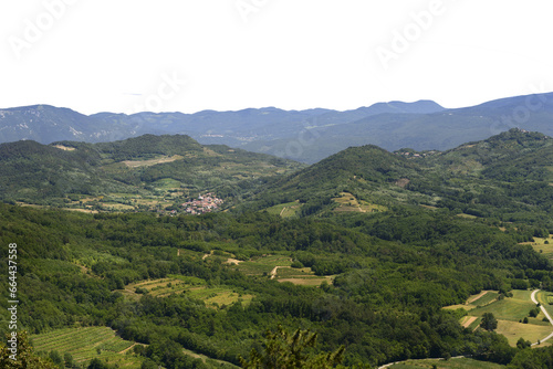 panoramic view of vineyards among the hills