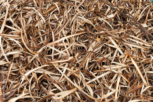 wood shavings straw chips fillings top view. wooden shavings. timber texture